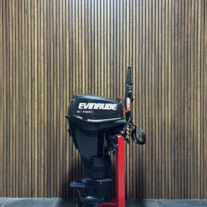 2010 Evinrude E-TEC 25 HP EFI outboard engine.