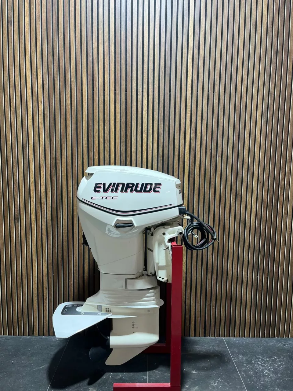 2009 Evinrude E-TEC 50 HP outboard engine.