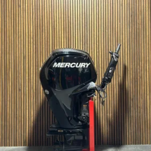 2018 Mercury 100 HP EFI outboard engine.