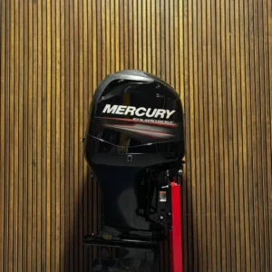 2015 Mercury 115 HP EFI outboard engine.