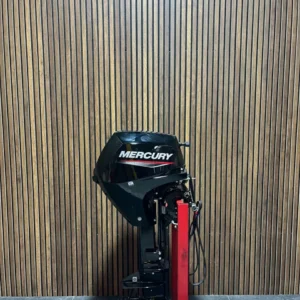 2025 Mercury 20 HP EFI outboard engine.