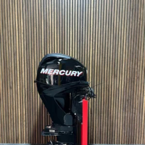 2010 Mercury 40 HP EFI outboard engine.