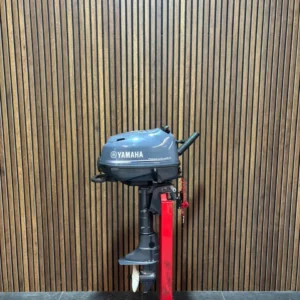 2021 Yamaha F4BMH outboard engine.